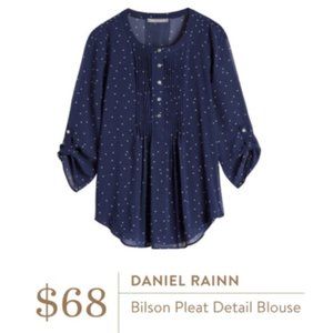 NWOT Daniel Rainn Bilson Pleat Sheer Navy Blouse with Camisole